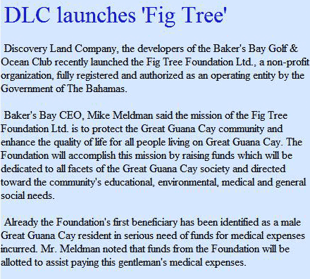 Fig Tree Foundation