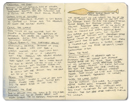 Wooden Oar from Bahamas