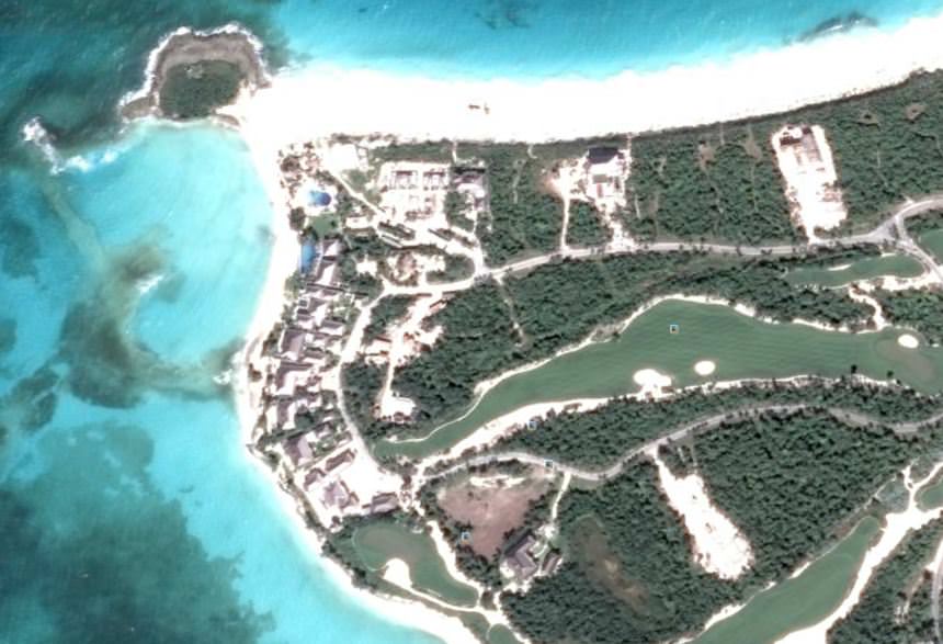 Vegetation at Bakers Bay