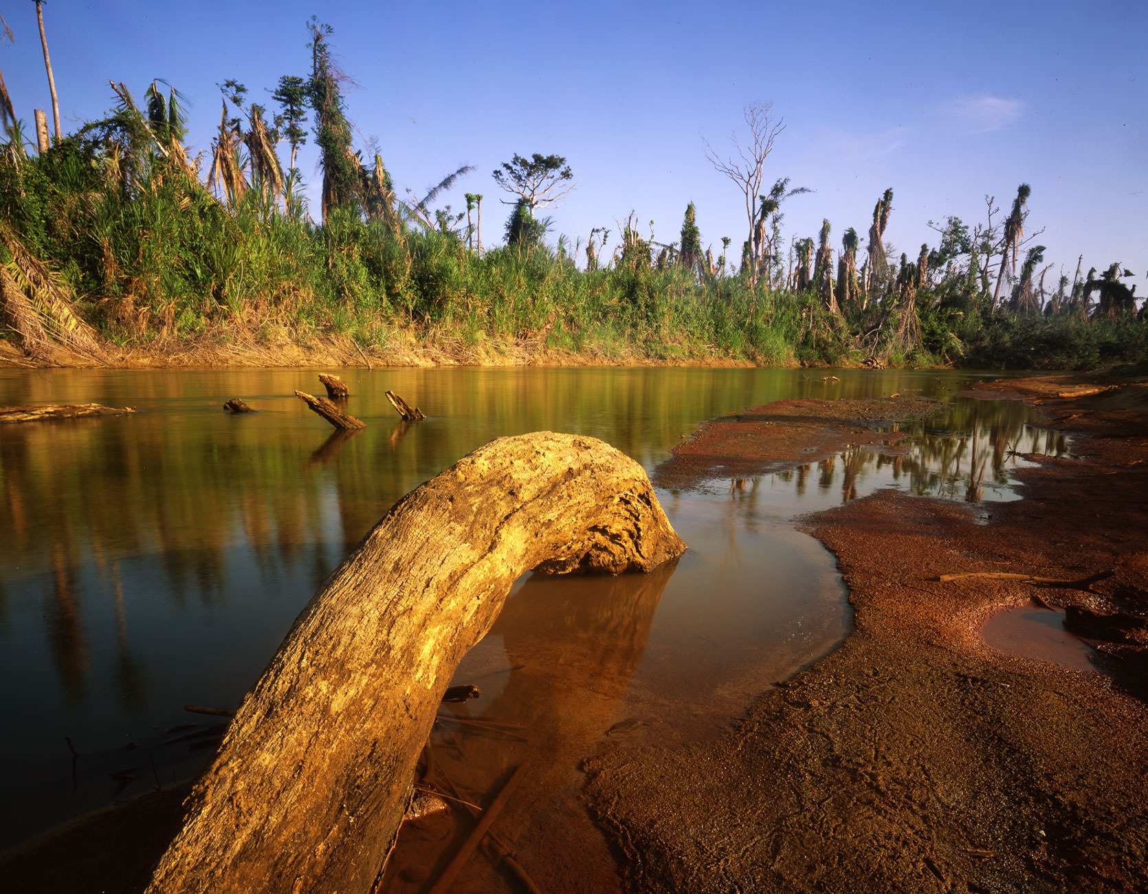 A view of the Monkey River from our campsite. The trees on the opposite side of the river were filled with Howler Monkeys.