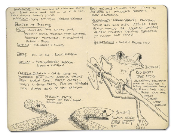 Speckled Racer Sketch