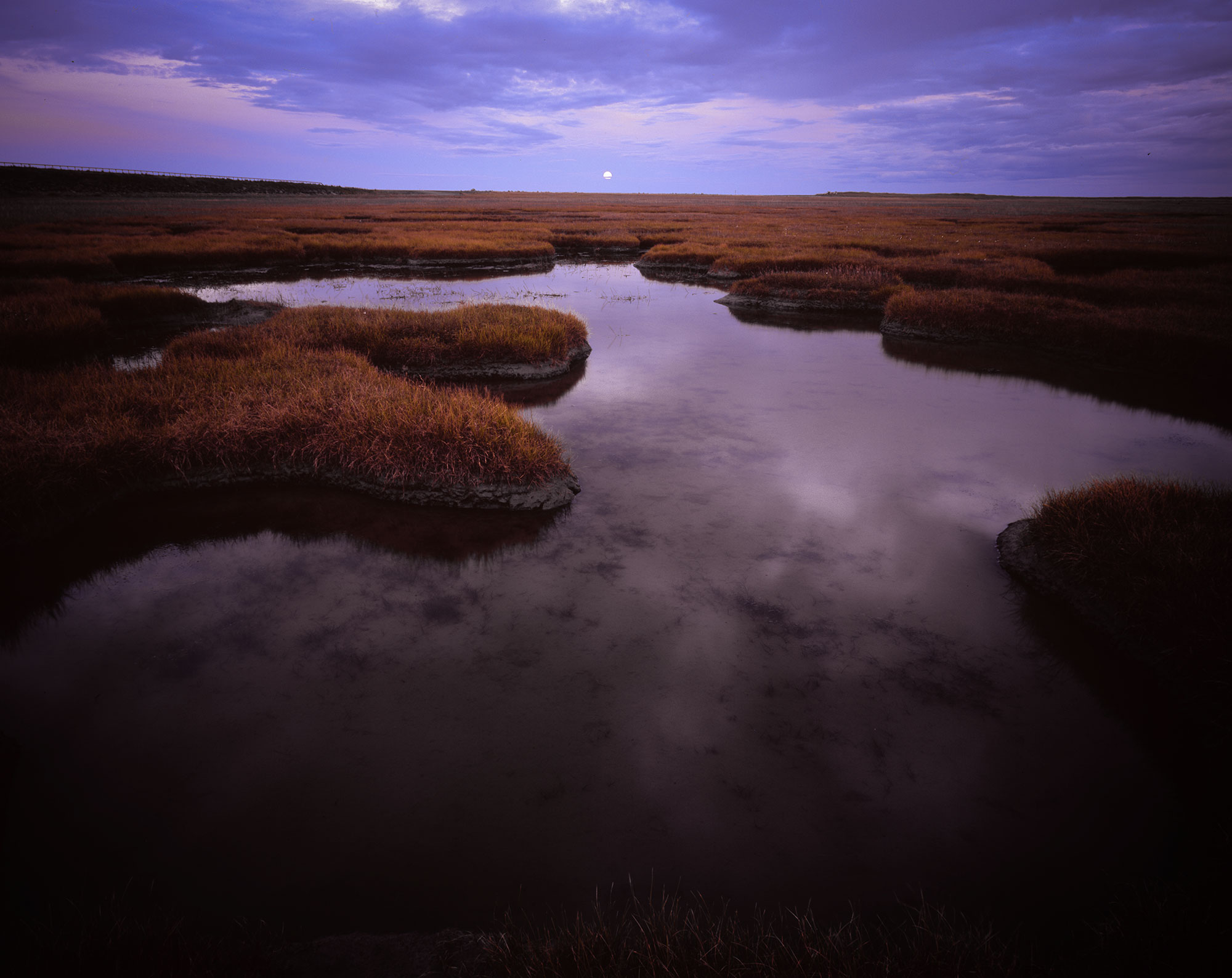 The Beringia Region, photographed near Nome, Alaska