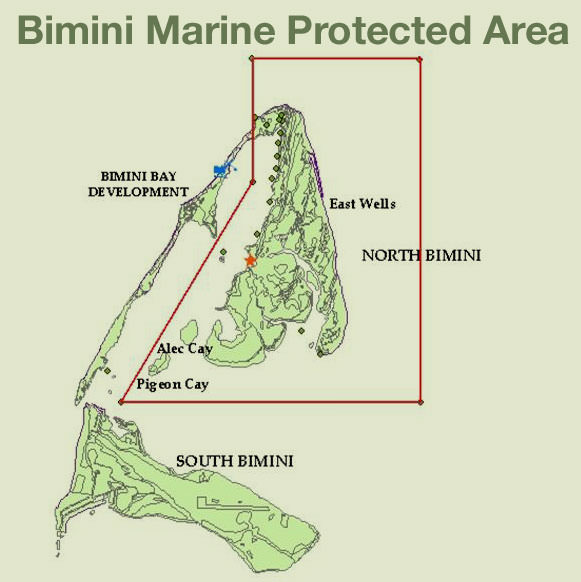 Bimini MPA