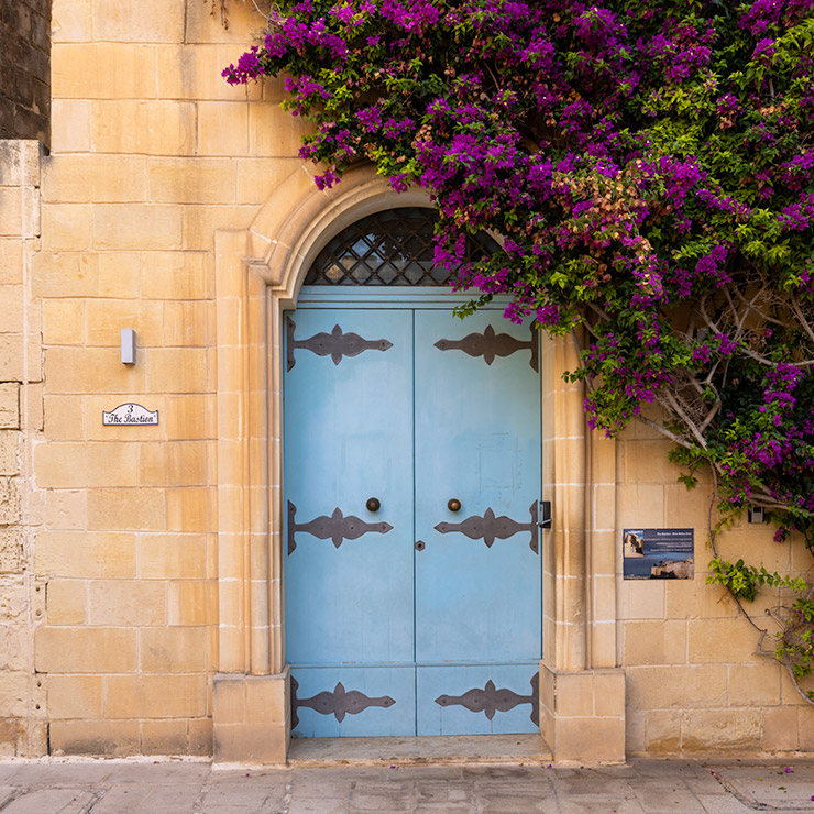 Elegant sky-blue double door in Mdina, Malta, set in a Gothic-arched limestone doorway with black iron strap hinges, a lattice transom window, and cascading bougainvillea blooms framing the upper right corner.