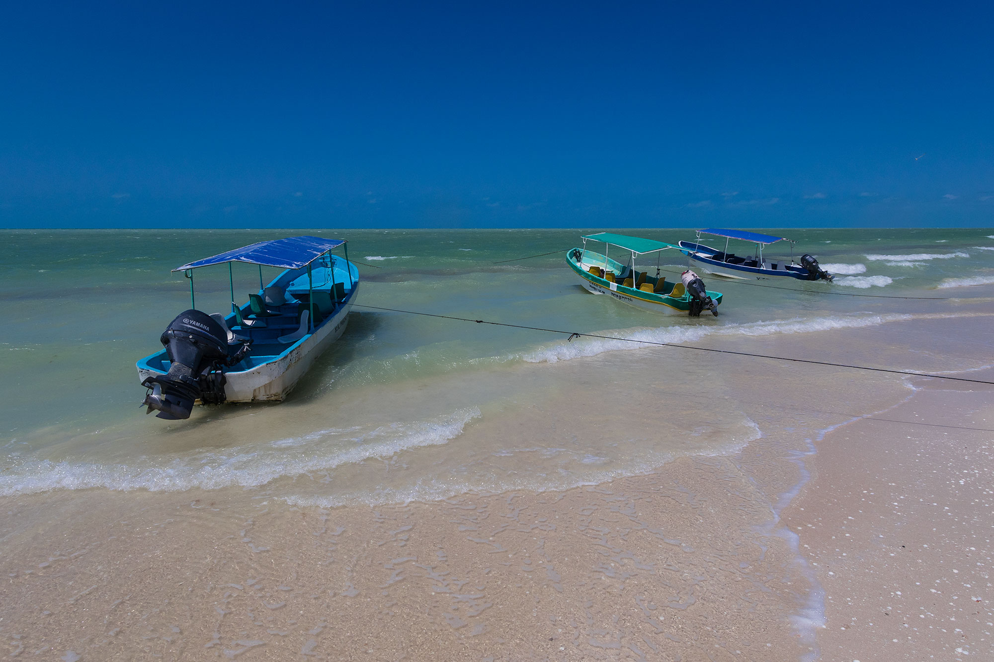 Tour Boats at the beach in Celestun