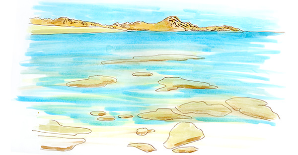 Cabo Pulmo National Park