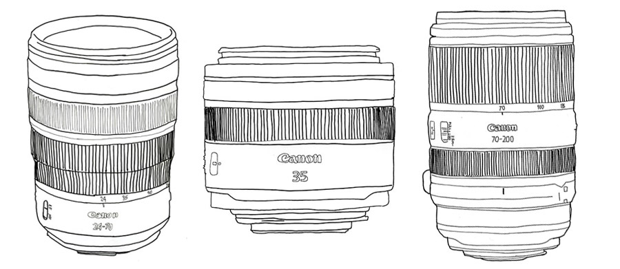 3 Canon RF Lenses for Wildlife Photographers