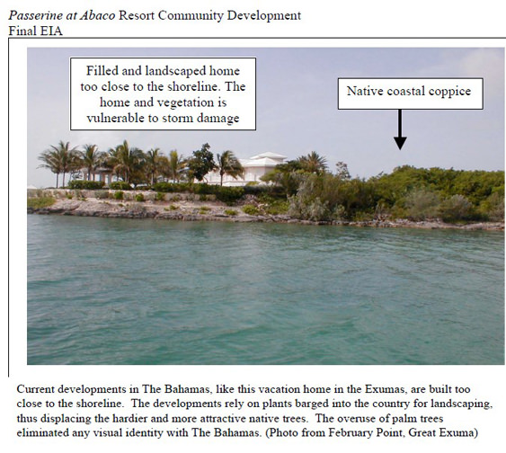 Coastal Buffer Farce