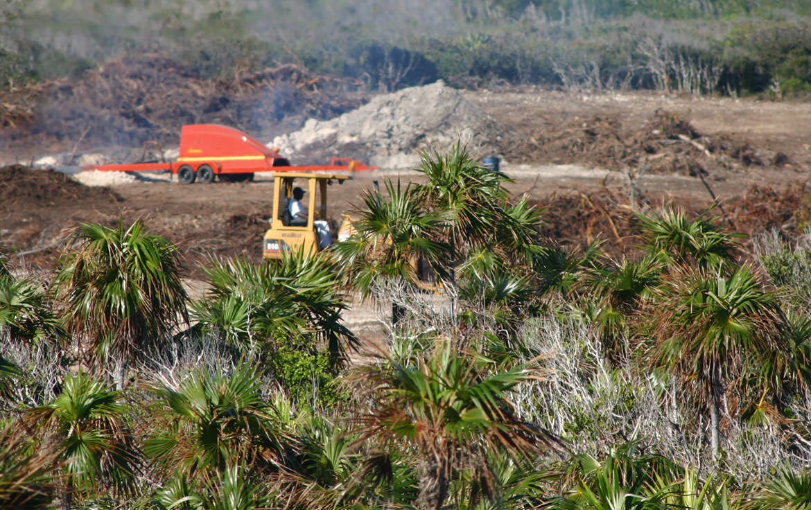 Construction Crew at Bakers Bay eliminating mangroves