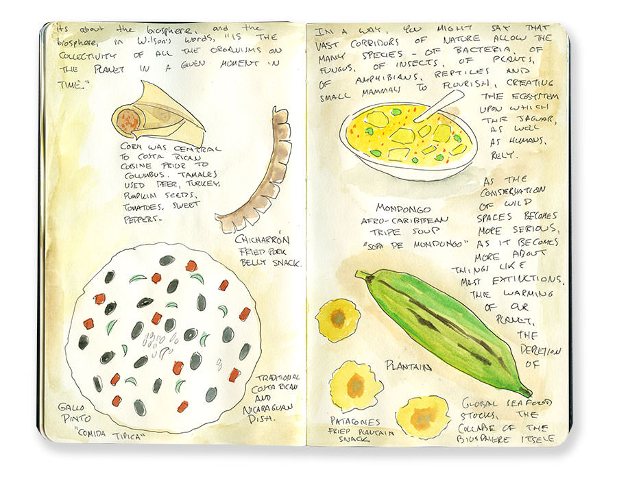 Costa Rica Sketches of Dishes and Cuisine
