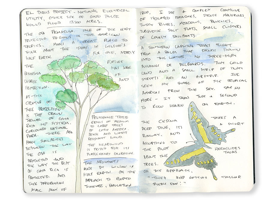 Sketch of Costa Rica Flora and Fauna