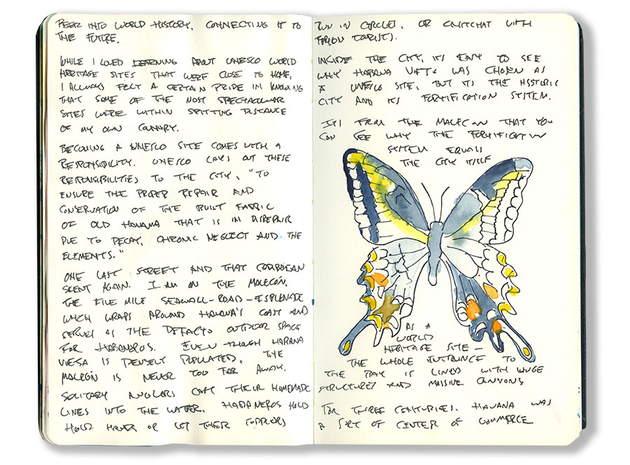 Butterfly in Havana, Cuba Sketch