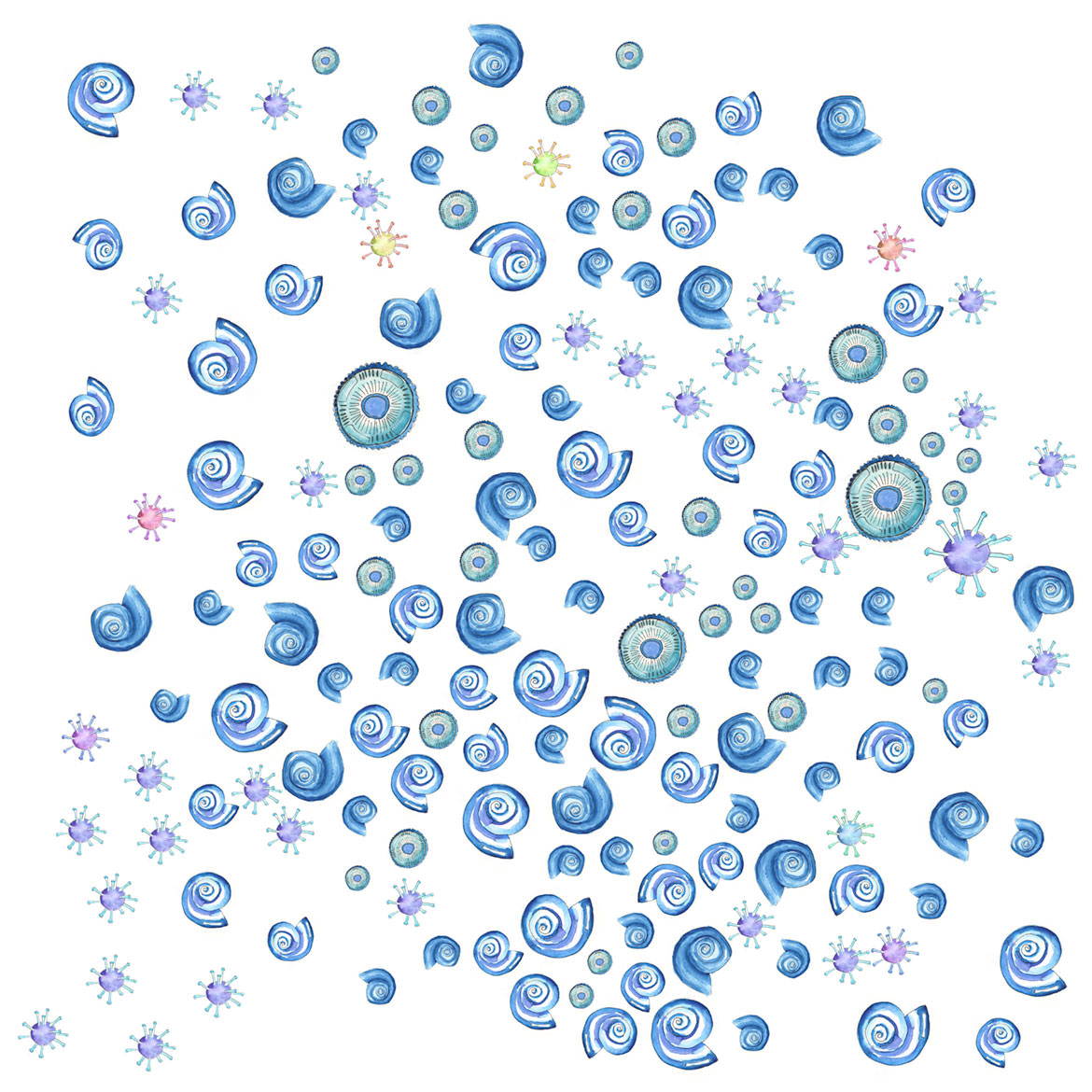 Ocean Acidification, the Coal Lobby and Darren Bearson