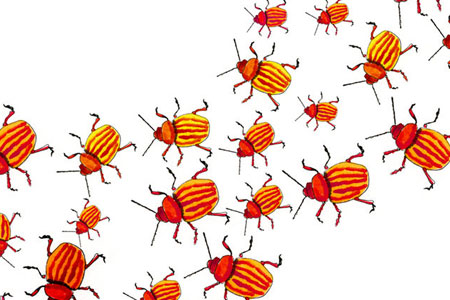 Open Letter to Darren Bearson