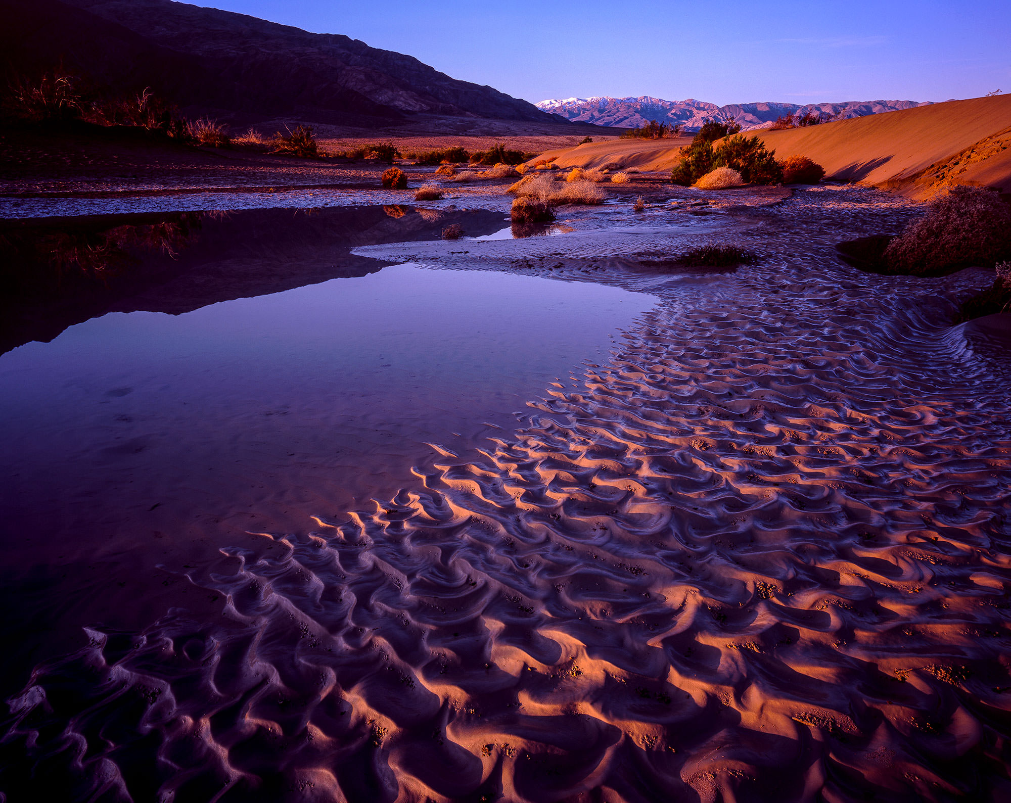 Death Valley dunes
