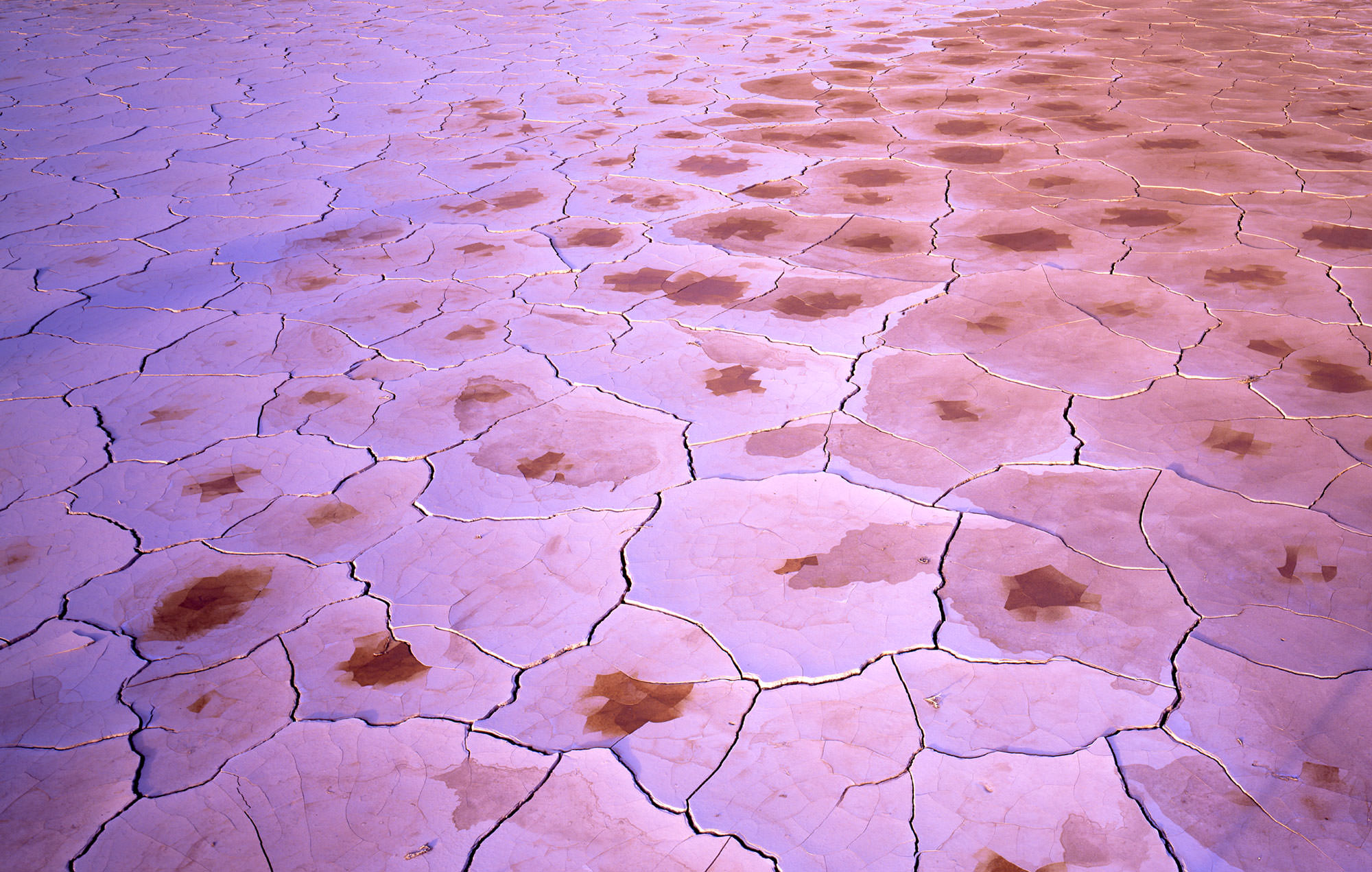 Geometric Structures in the Desert