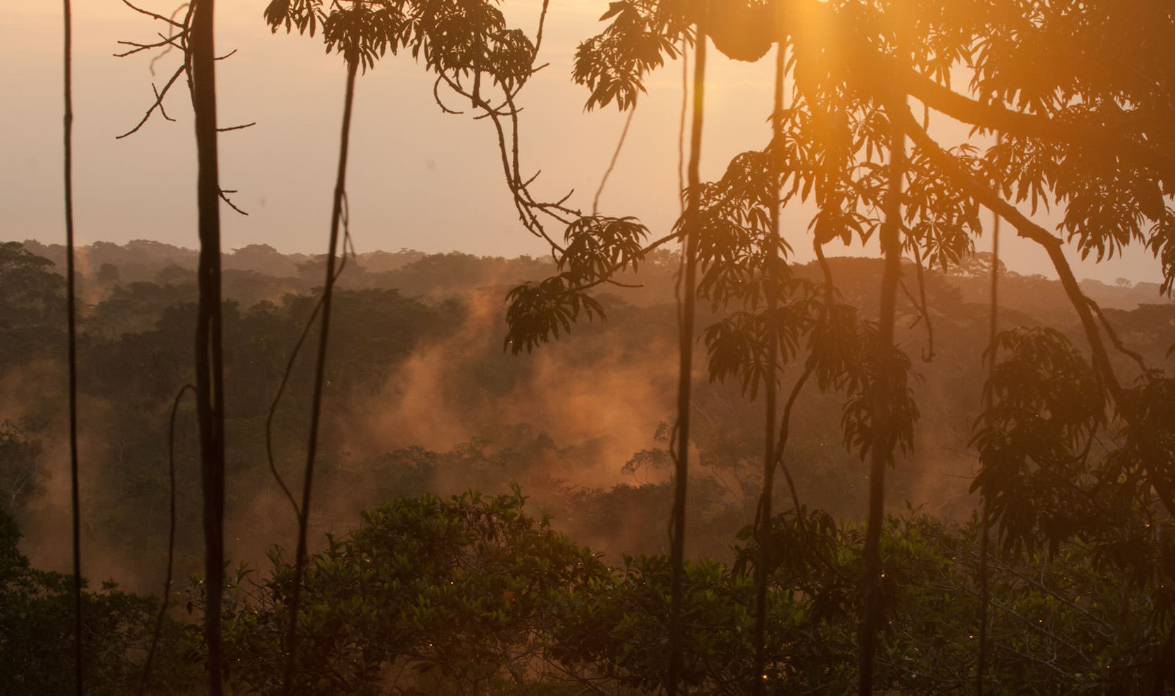 A view of the Ecuadorian lowlands at sunset from the tower at Sacha Lodge.