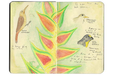 Moleskine Sketch Journal from El Valle de Anton, Panama