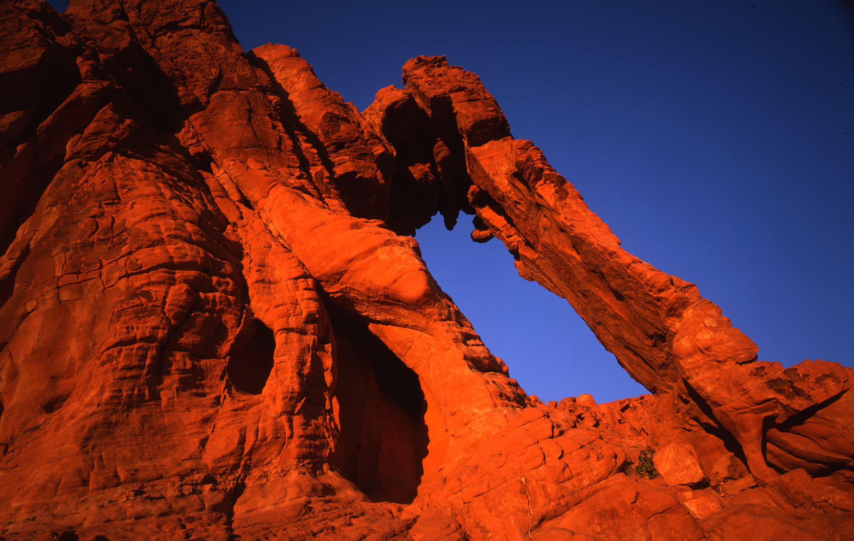 Elephant Rock, Valley of Fire State Park, Nevada