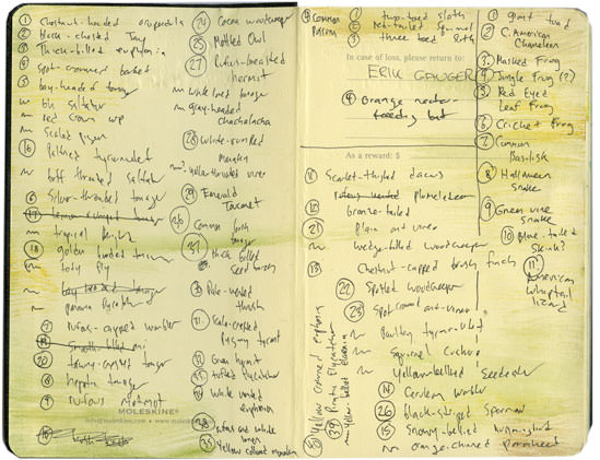 El Valle Bird Species Notes