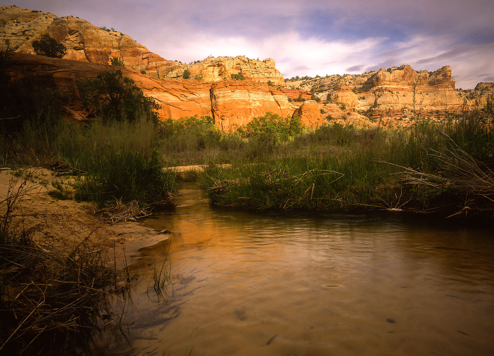 Calf Creek, Escalante Wilderness, Utah
