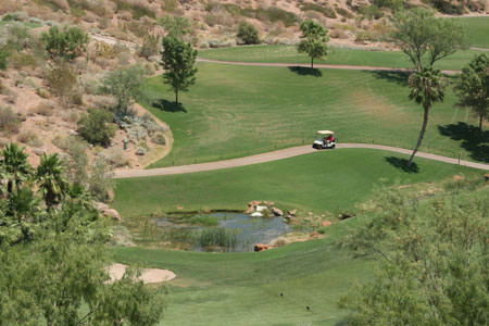 Desert Golf