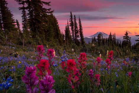Gifford-Pinchot Wilderness