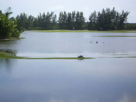 Four Seasons Golf Course