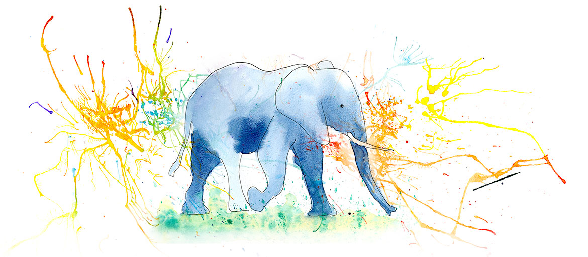 Greg Sheehan and Elephants