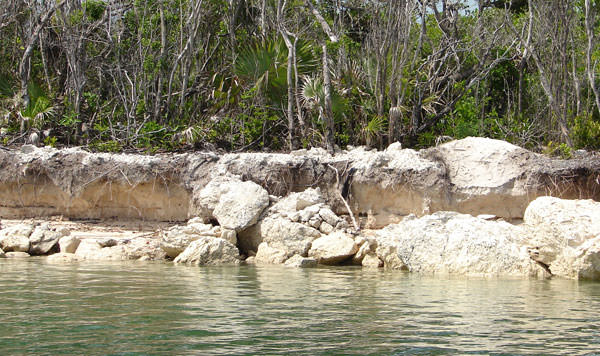 Bakers Bay Site