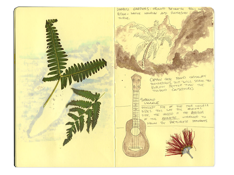 Hawaii Moleskine Journal