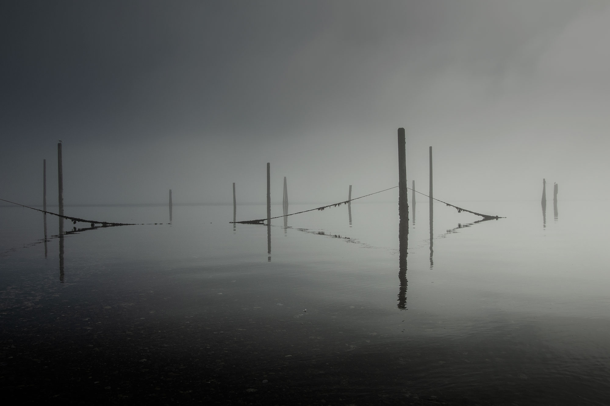 Hood Canal from the Olympic Peninsula
