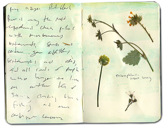 Press Flowers Journal