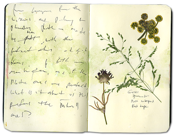 Grasses Moleskine Journal