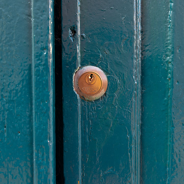Istrian Colors on Door