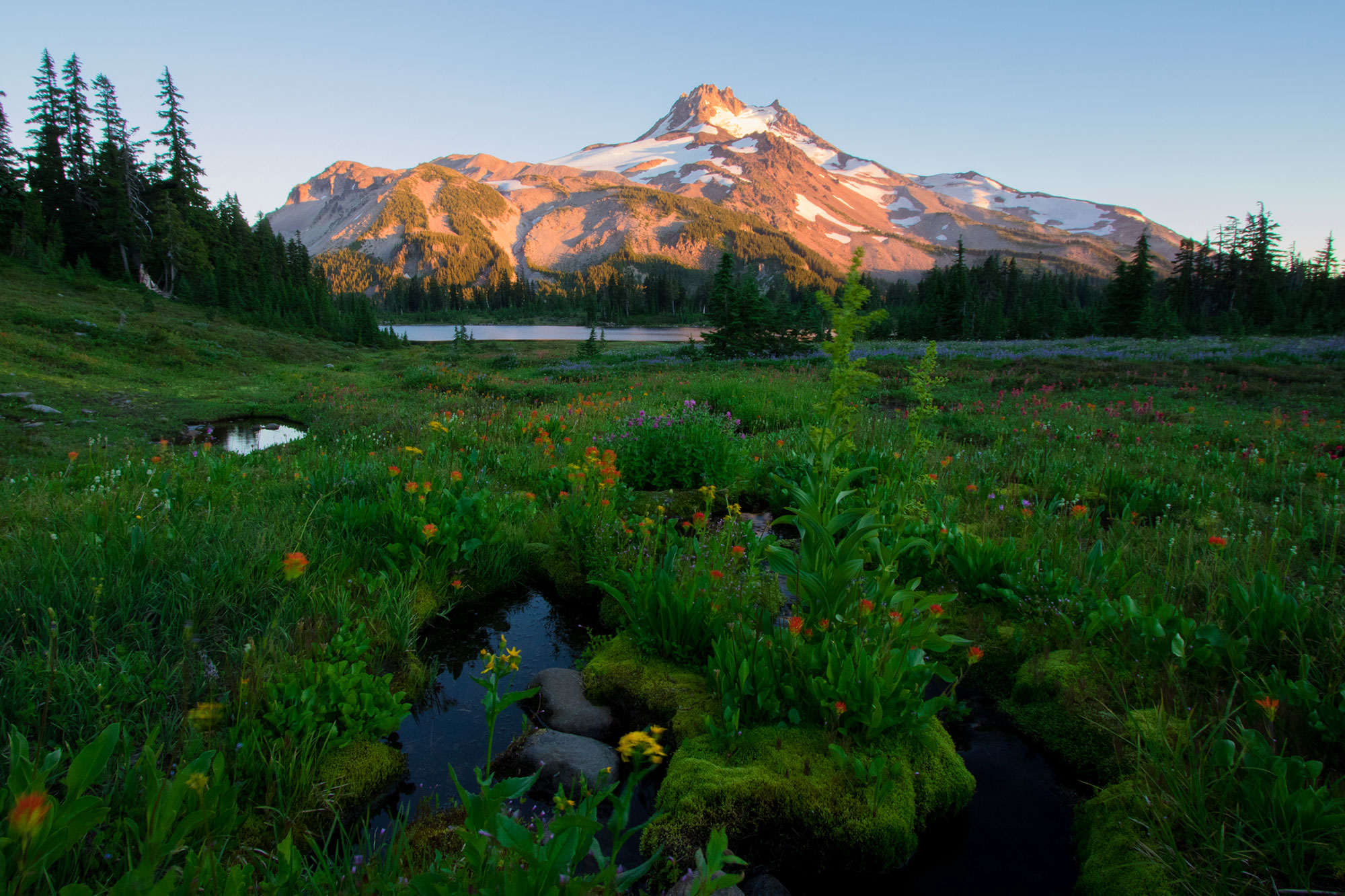 Jefferson Park, Oregon
