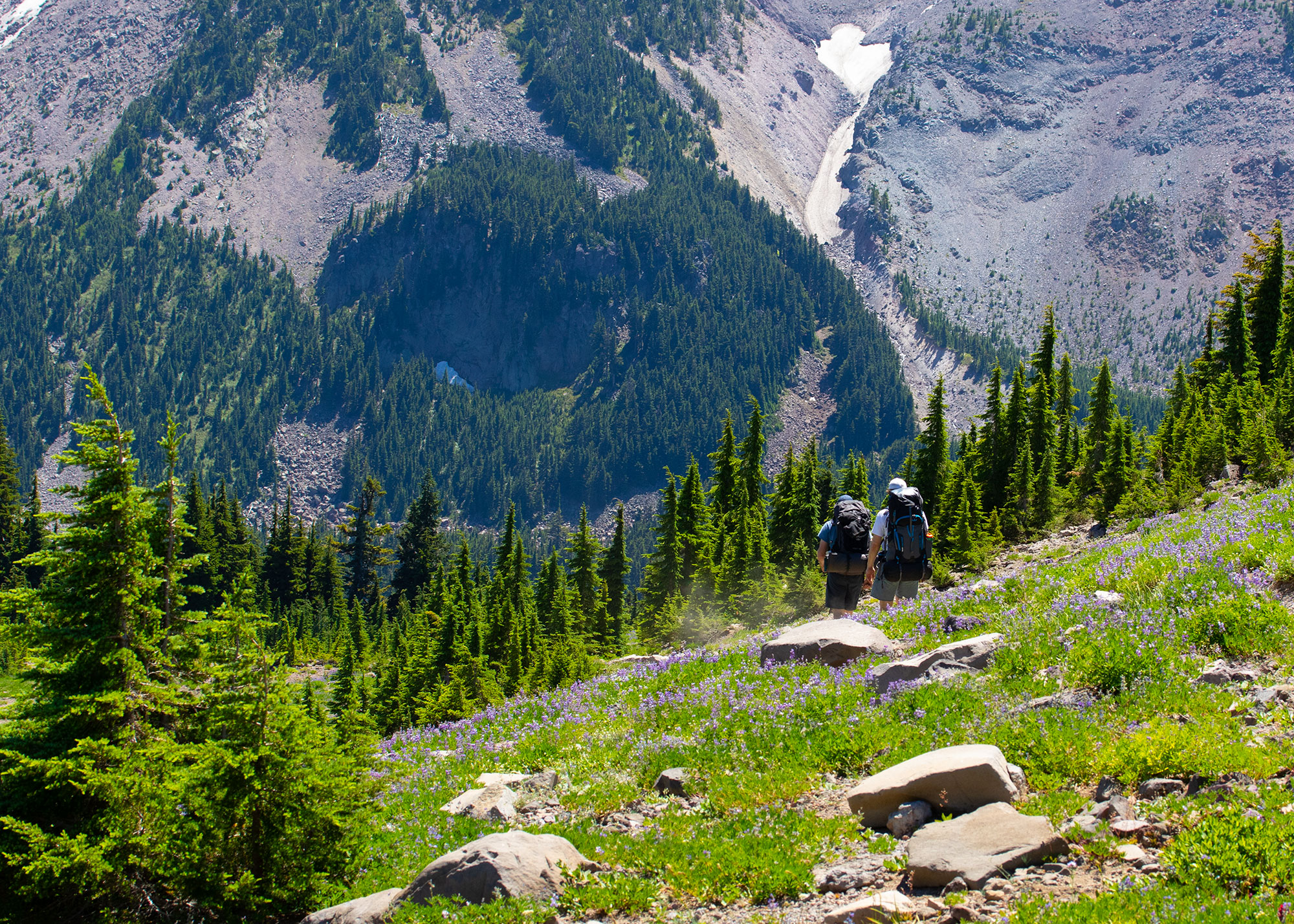 Jefferson Park via the Park Ridge Trail
