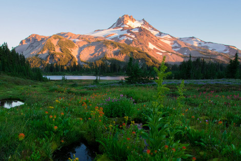 Jefferson Park Wilderness