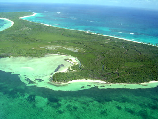 Joe's Creek, before devastation