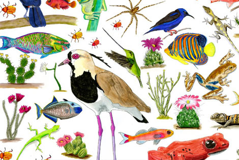 Open Letter to Katie Tubb