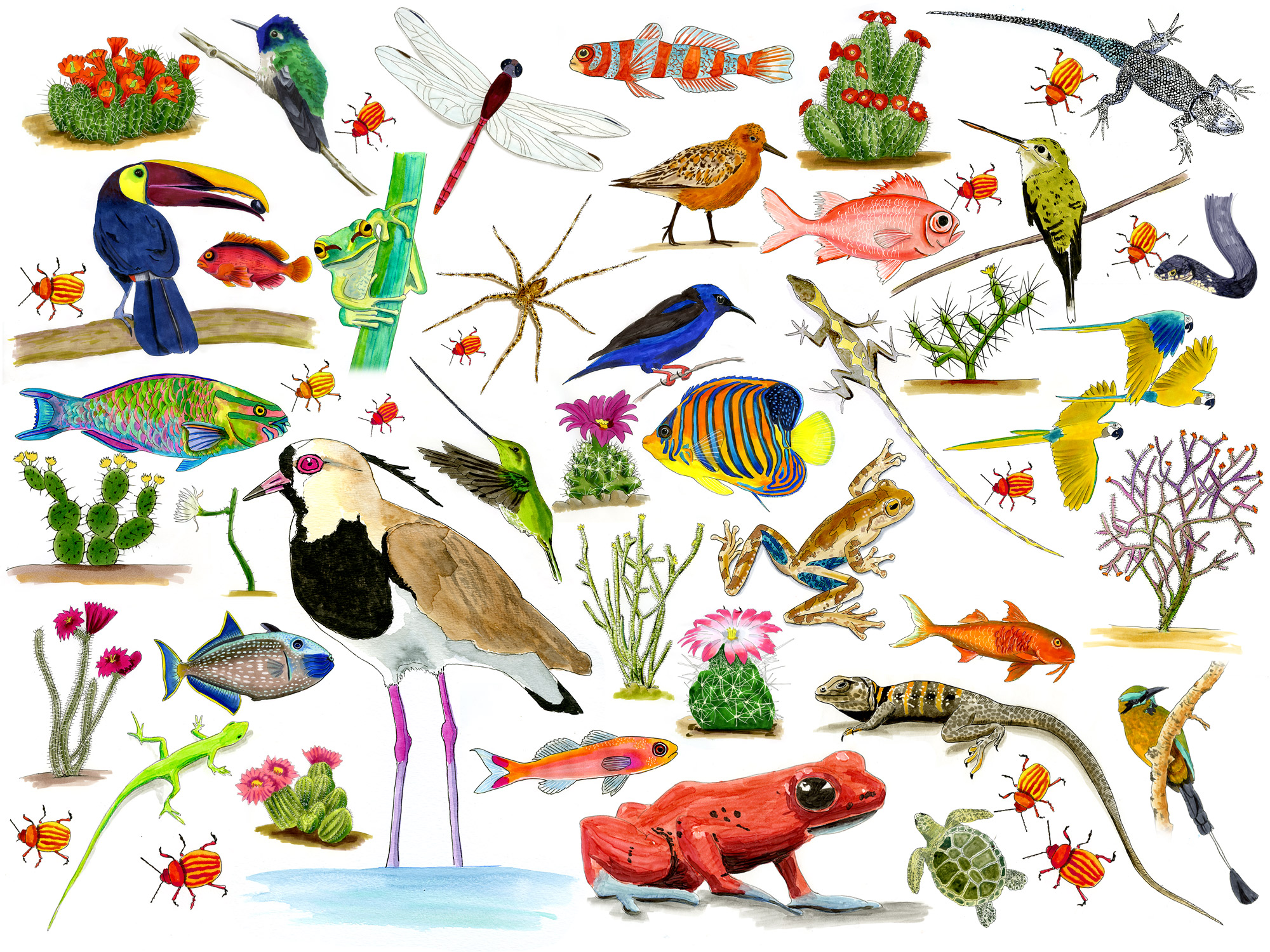 Protecting migrating birds at the Minnesota Vikings Stadium