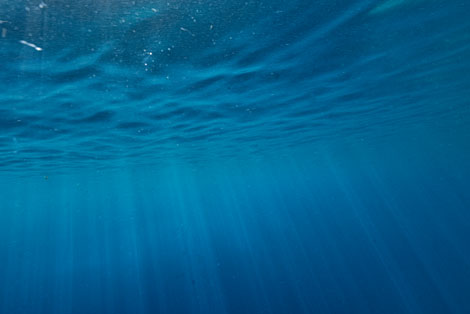 Kealakekua Bay Bluewater