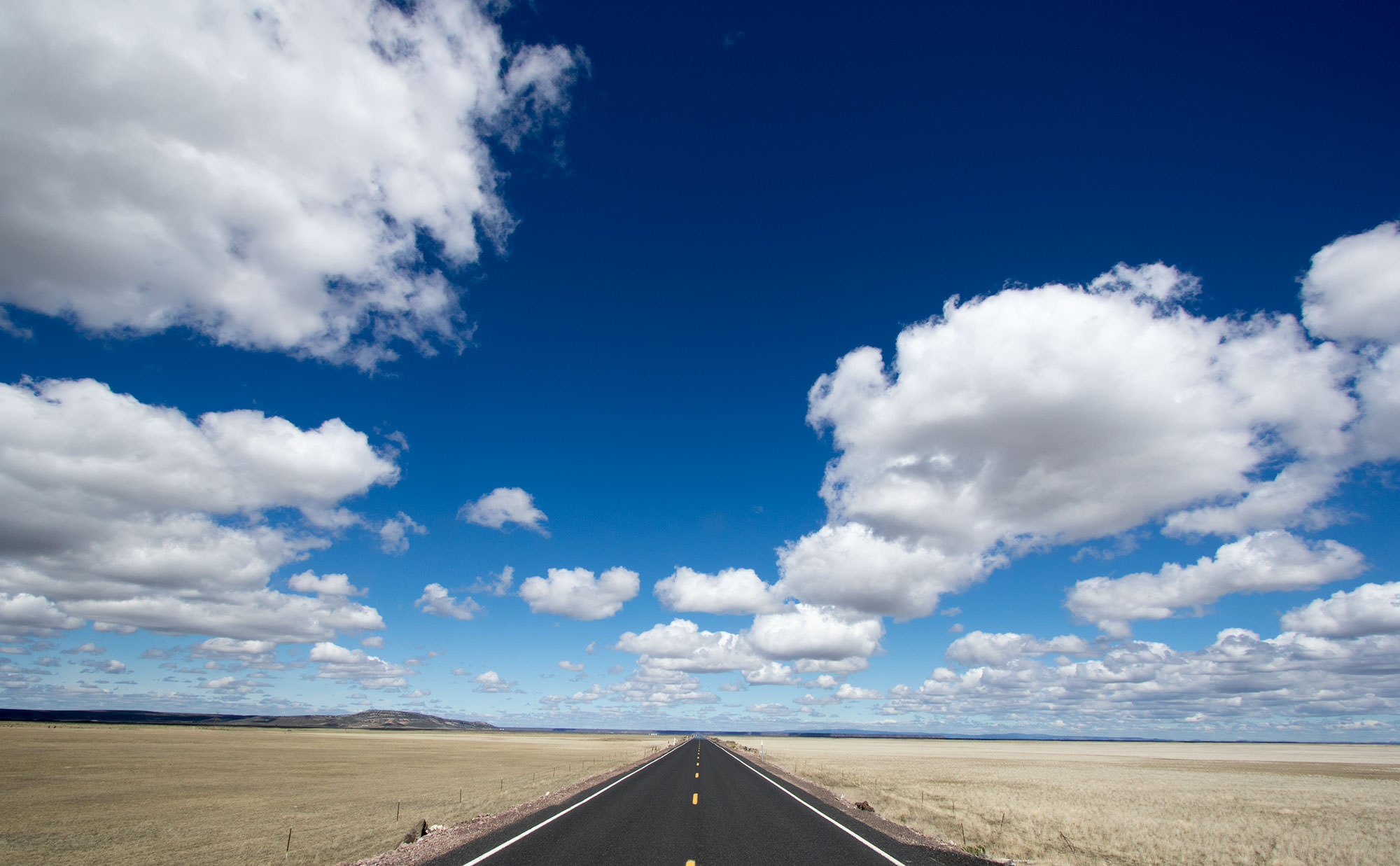 Kestrel at Malheur National Wildlife Refuge