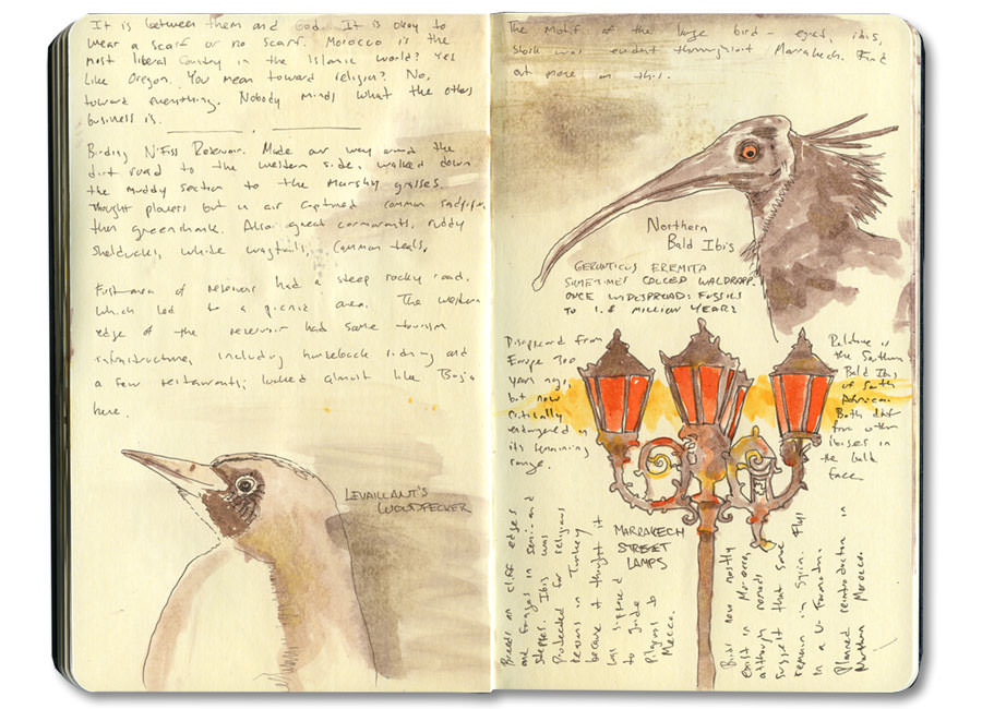 Marrakech Moleskine Journal