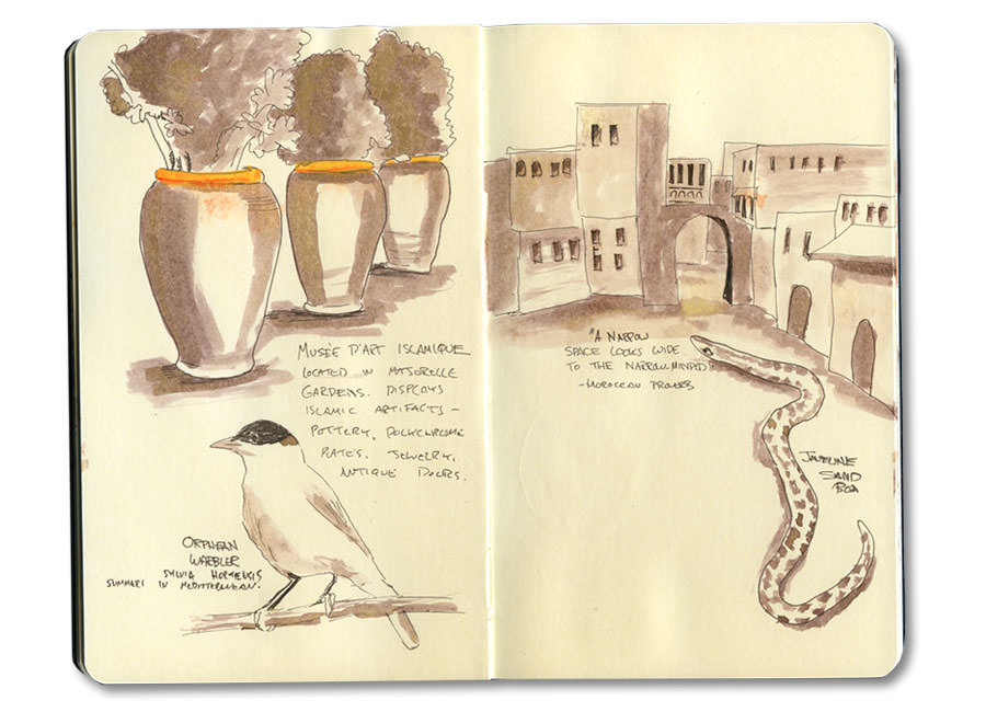 Pots from Majorelle Gardens, Orphean Warbler