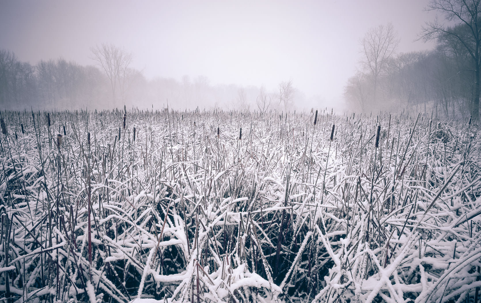 Carver Park in winter.