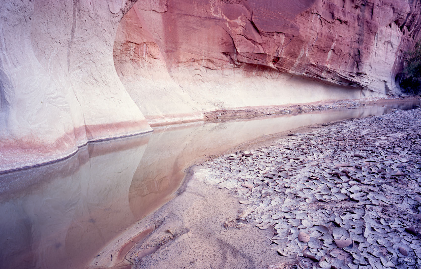 Mormons and Gay Marriage