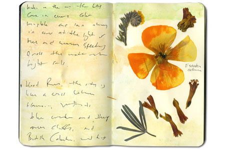 Moleskine Sketch Journal from Mount Hood, Oregon