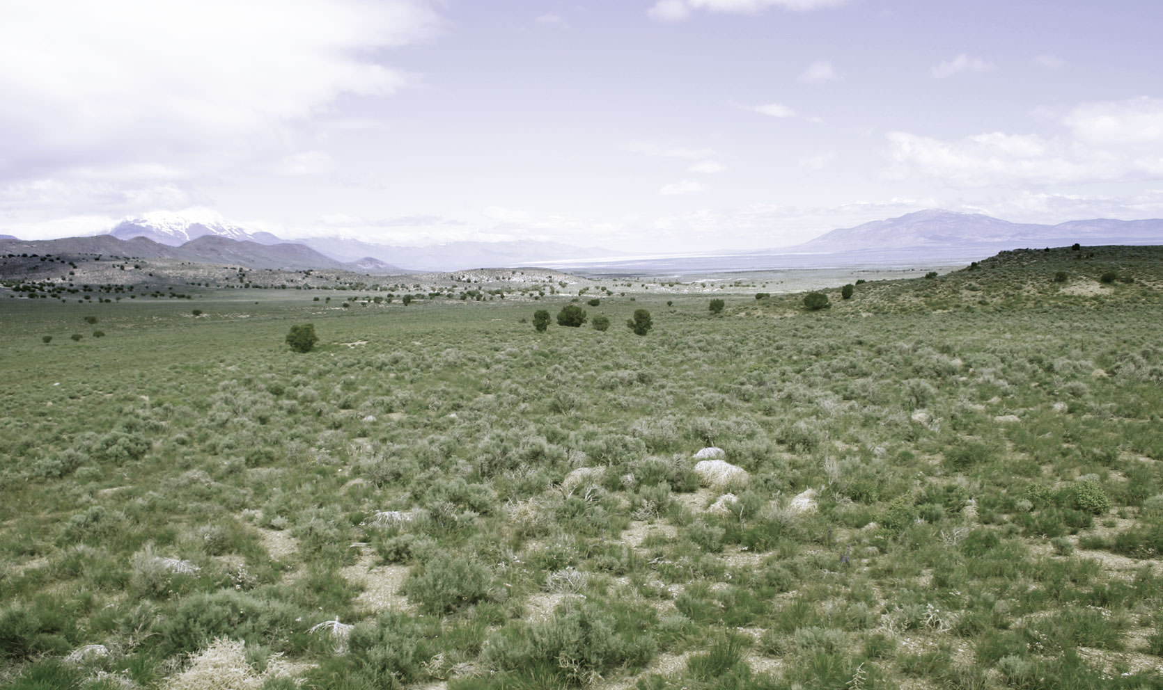 Nevada Landscape Photo