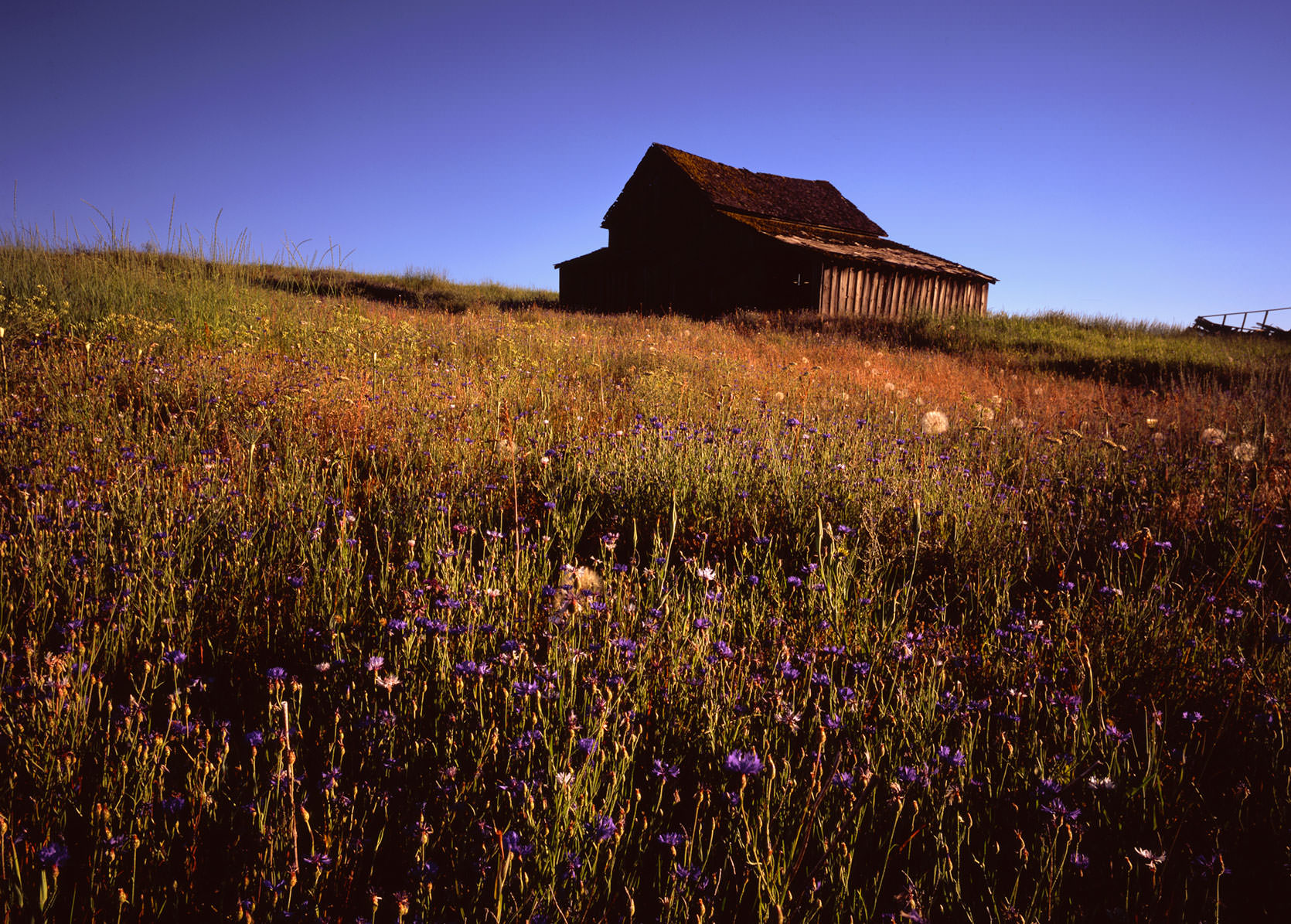 Old barn in Central Oregon